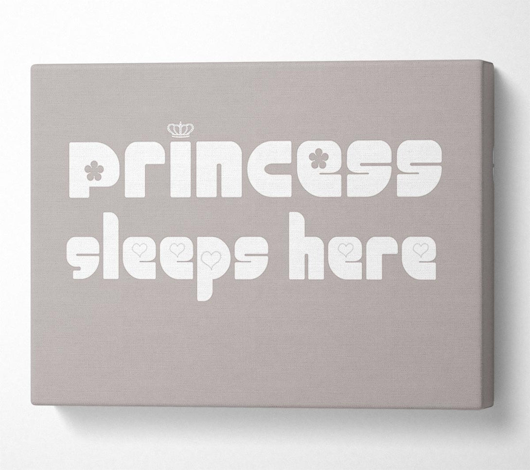  A Canvas Print of Princesss Sleeps Here 2 Beige Canvas Print