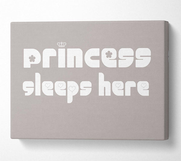  A Canvas Print of Princesss Sleeps Here 2 Beige Canvas Print