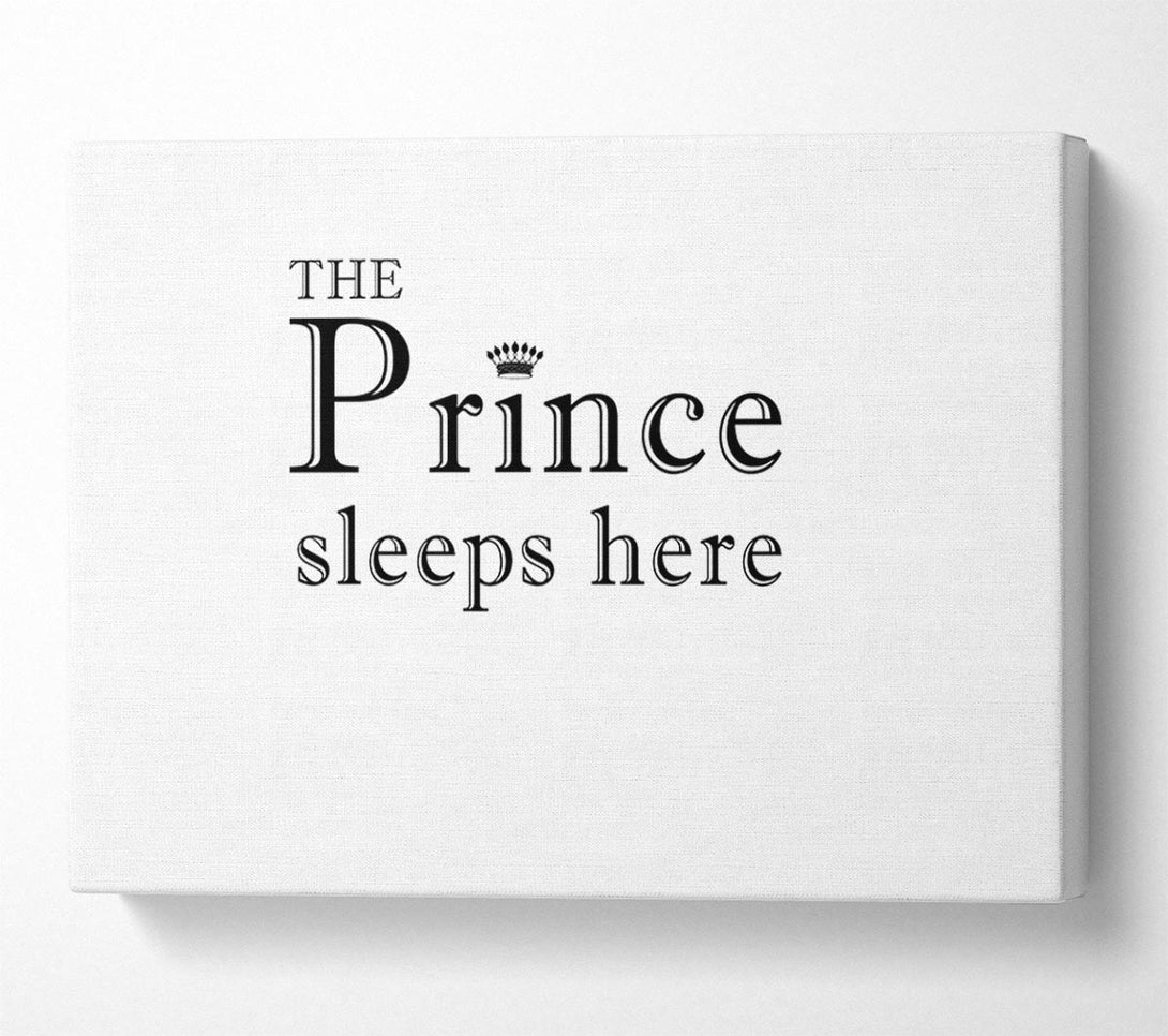  A Canvas Print of Boys room Quote The Prince Sleeps Here White Canvas Art