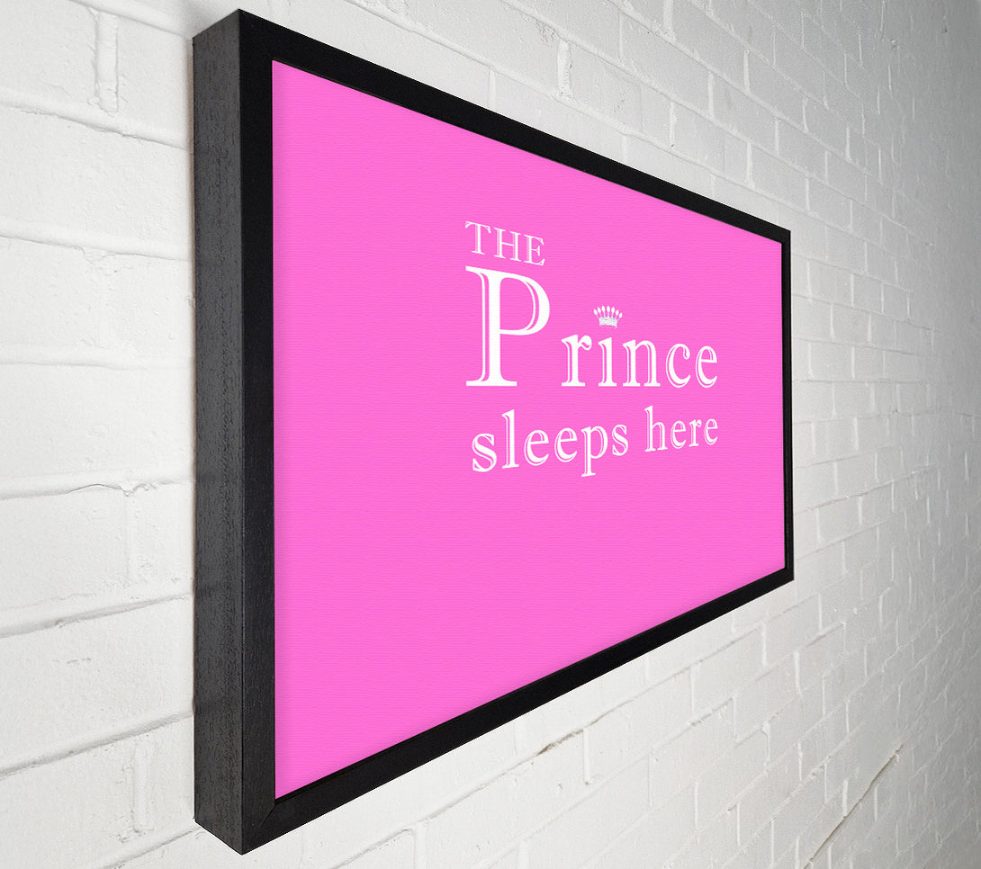  A Canvas Print of The Prince Sleeps Here Vivid Pink Canvas Wall Art