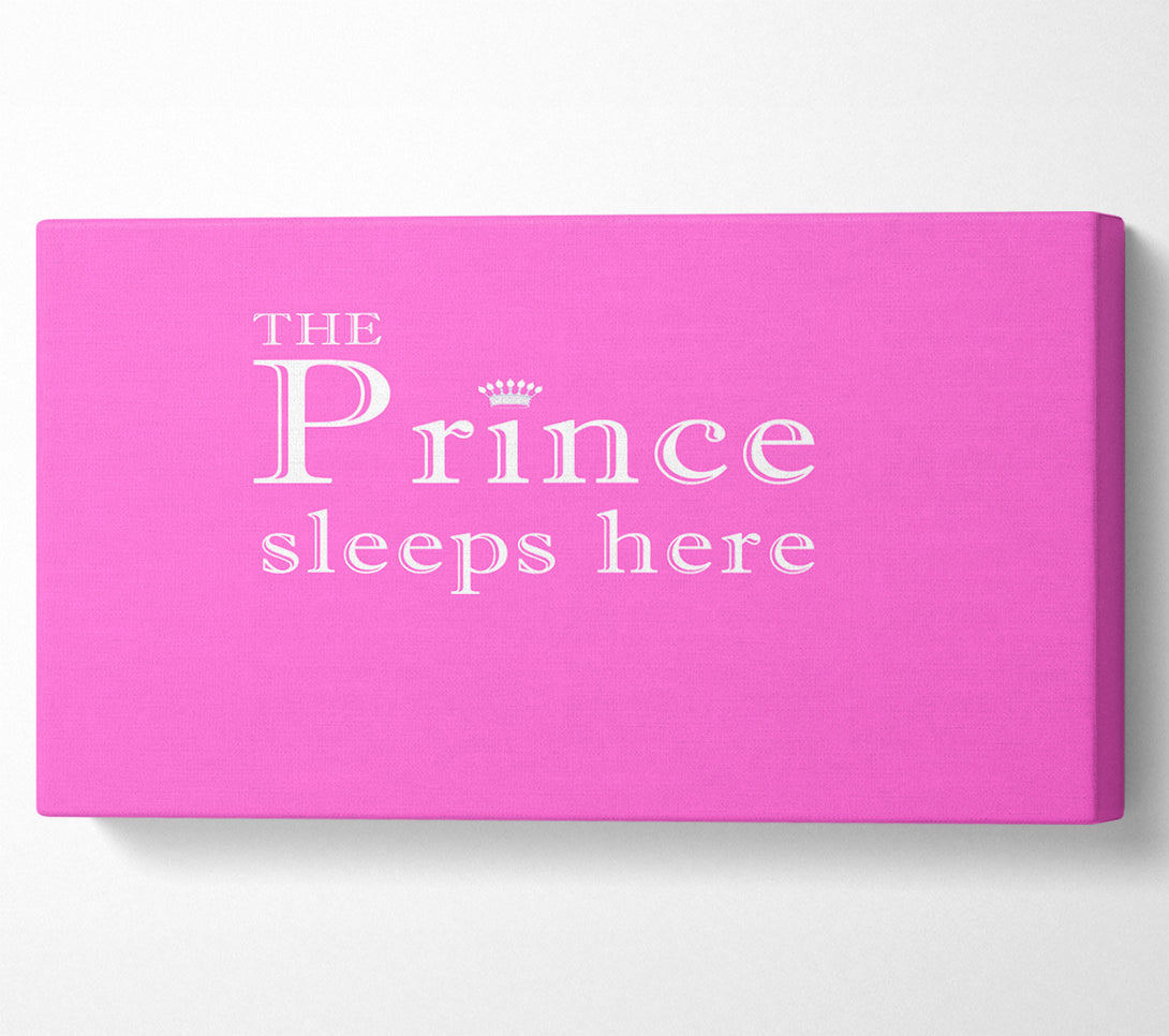  A Canvas Print of The Prince Sleeps Here Vivid Pink Canvas Wall Art