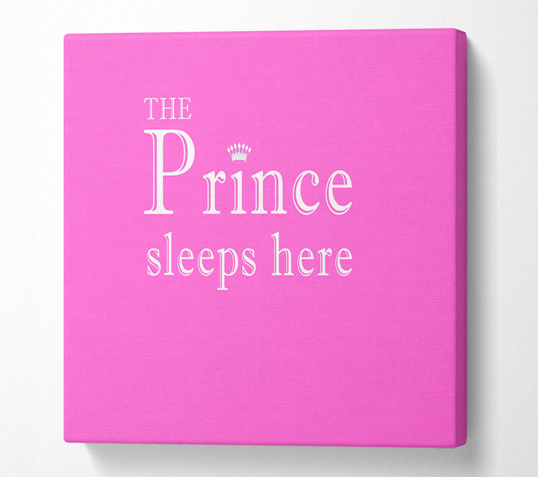  A Canvas Print of The Prince Sleeps Here Vivid Pink Canvas Wall Art