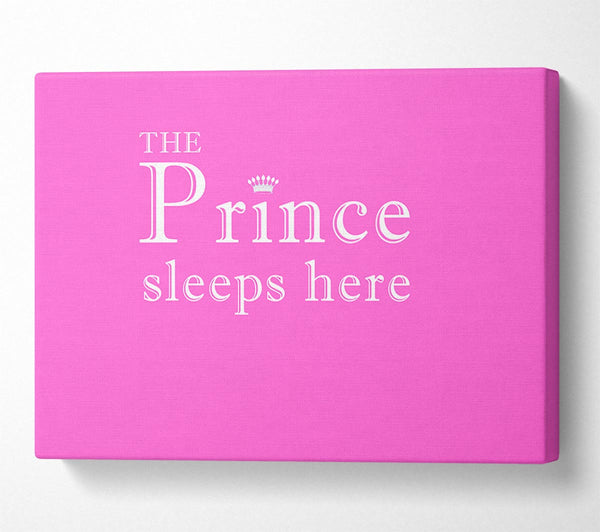  A Canvas Print of The Prince Sleeps Here Vivid Pink Canvas Wall Art