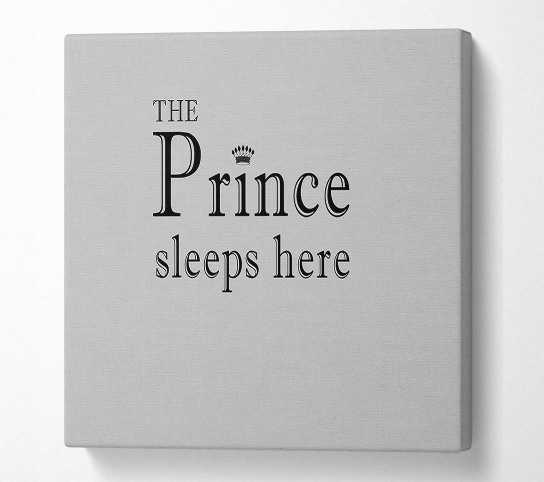  A Canvas Print of Boys room Quote The Prince Sleeps Here Grey Canvas Wall Art