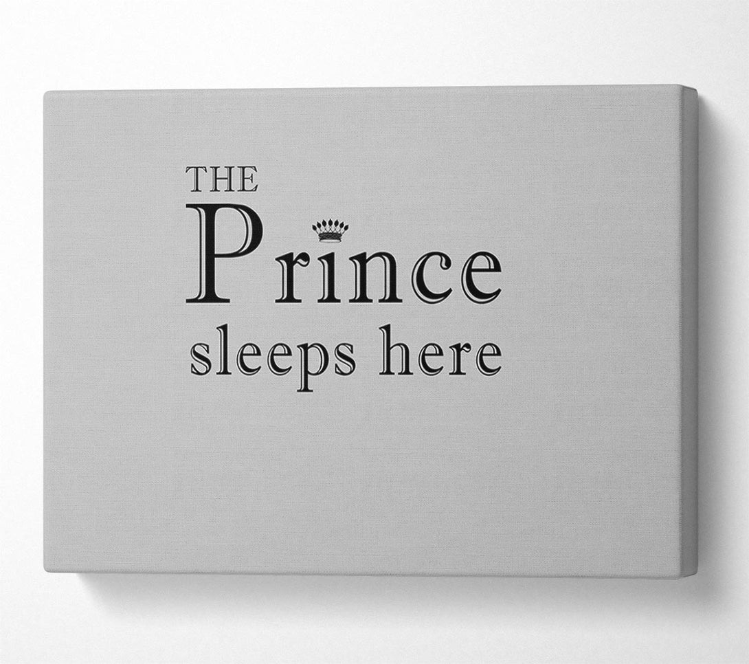  A Canvas Print of Boys room Quote The Prince Sleeps Here Grey Canvas Wall Art