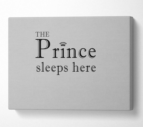  A Canvas Print of Boys room Quote The Prince Sleeps Here Grey Canvas Wall Art