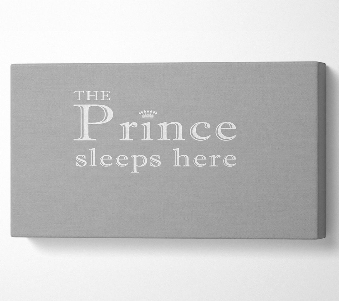  A Canvas Print of Boys room Quote The Prince Sleeps Here Grey White Canvas Art