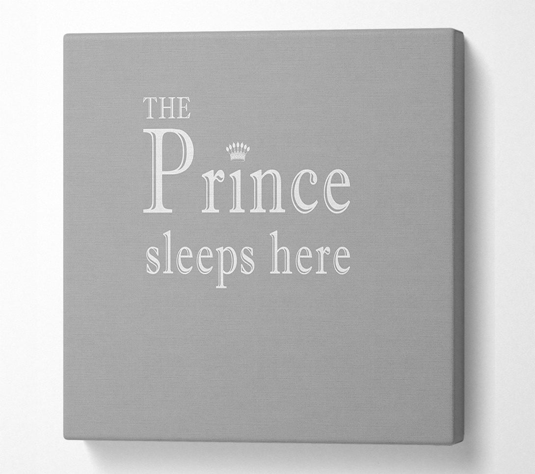  A Canvas Print of Boys room Quote The Prince Sleeps Here Grey White Canvas Art