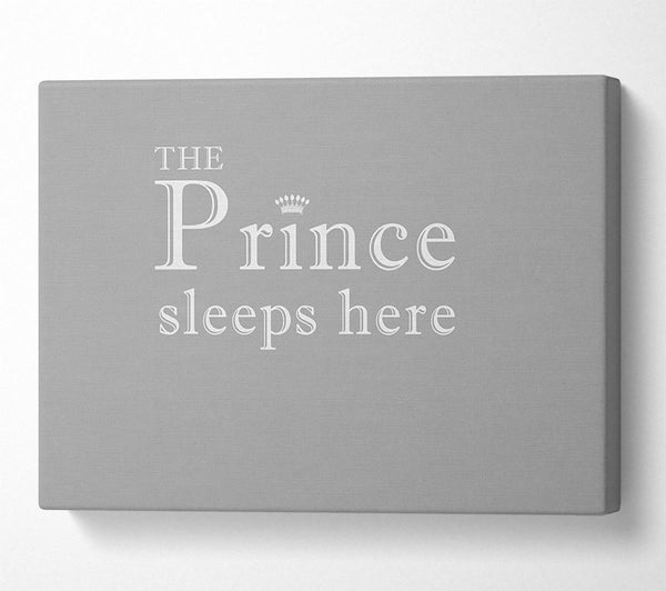  A Canvas Print of Boys room Quote The Prince Sleeps Here Grey White Canvas Art