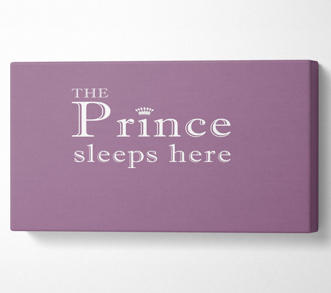  A Canvas Print of Boys room Quote The Prince Sleeps Here Dusty Pink Canvas Art