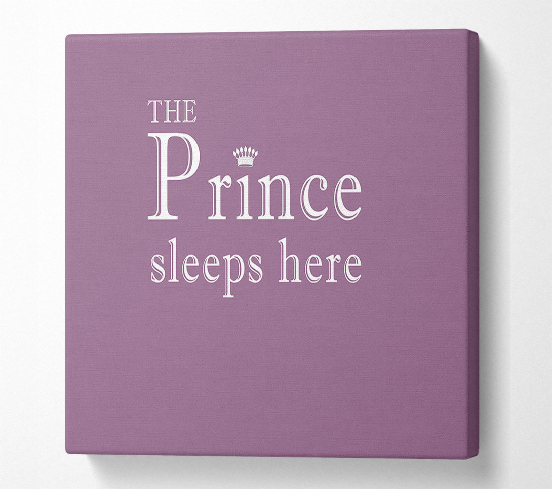  A Canvas Print of Boys room Quote The Prince Sleeps Here Dusty Pink Canvas Art