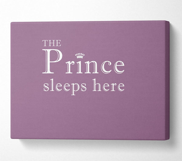  A Canvas Print of Boys room Quote The Prince Sleeps Here Dusty Pink Canvas Art
