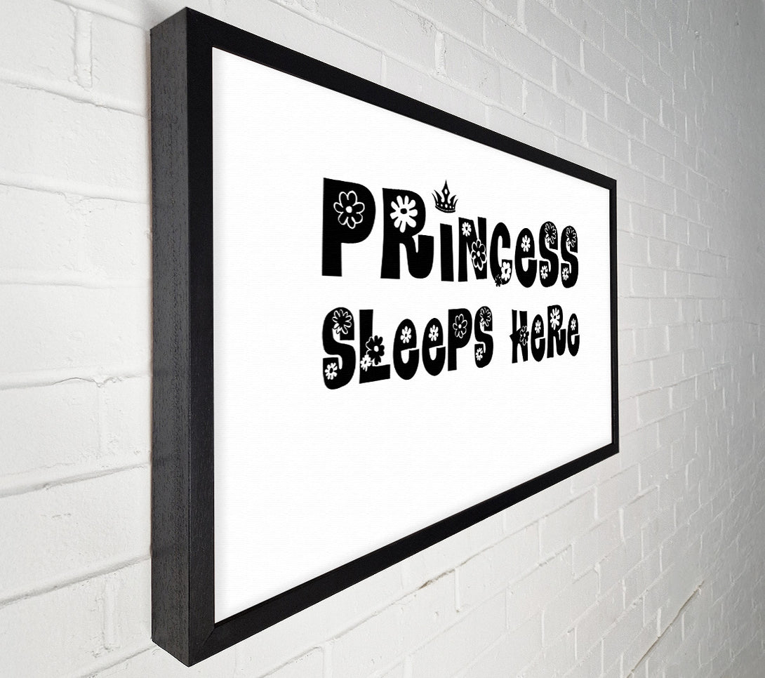  A Canvas Print of Princesss Sleeps Here White Canvas Art