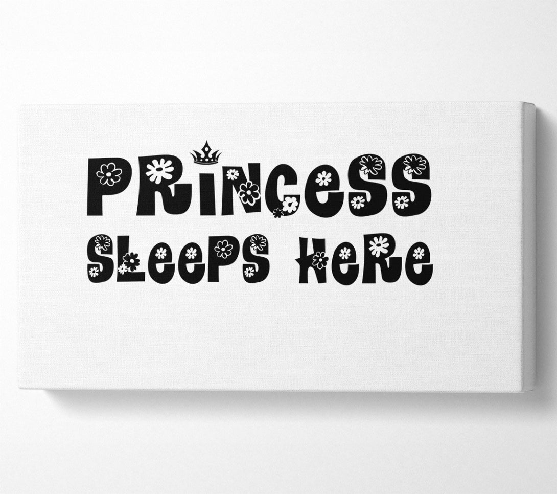  A Canvas Print of Princesss Sleeps Here White Canvas Art