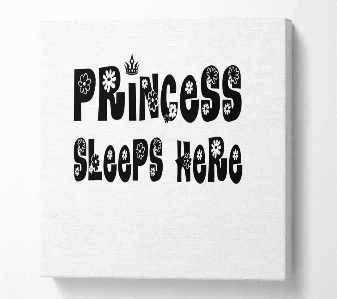  A Canvas Print of Princesss Sleeps Here White Canvas Art