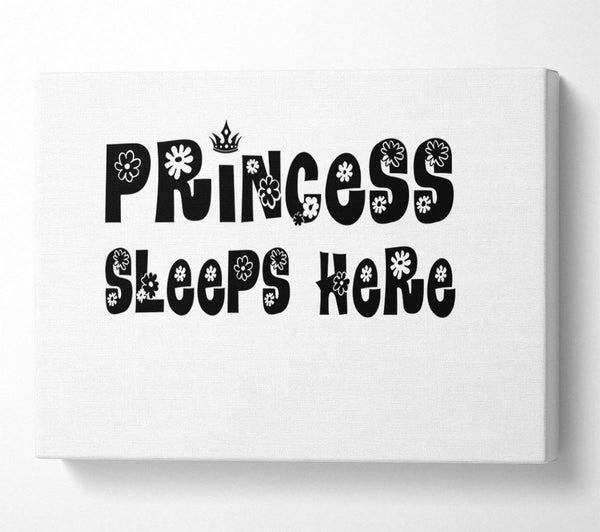  A Canvas Print of Princesss Sleeps Here White Canvas Art