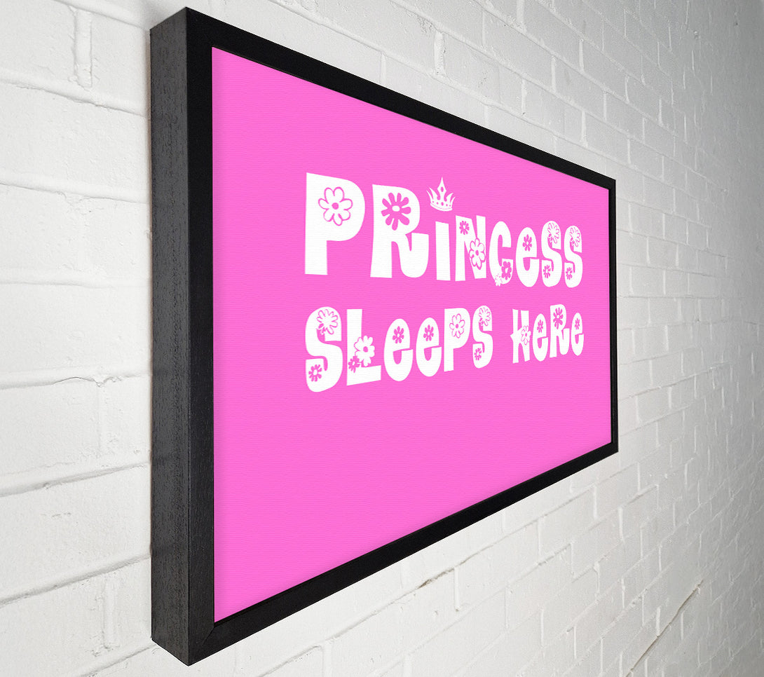  A Canvas Print of Nursery Quote Princesss Sleeps Here Vivid Pink Canvas Print