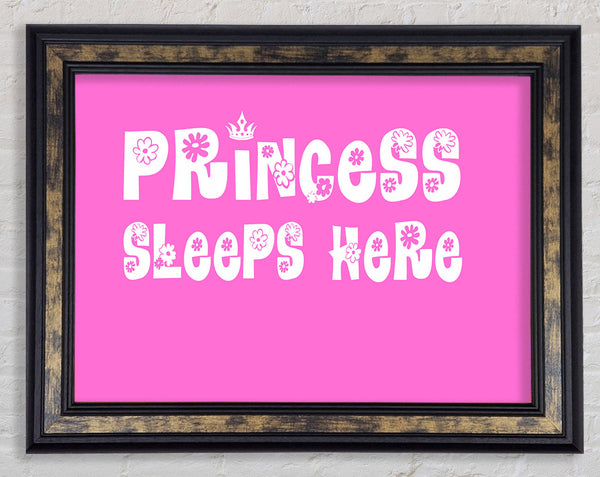 Nursery Quote Princesss Sleeps Here Vivid Pink Framed Print