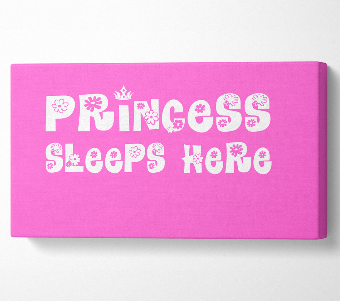  A Canvas Print of Nursery Quote Princesss Sleeps Here Vivid Pink Canvas Print