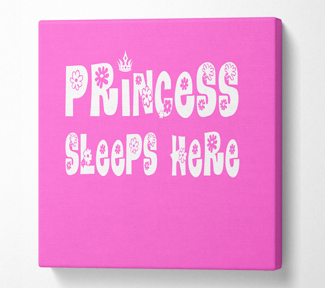  A Canvas Print of Nursery Quote Princesss Sleeps Here Vivid Pink Canvas Print