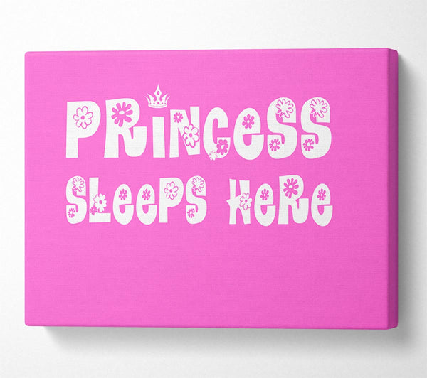  A Canvas Print of Nursery Quote Princesss Sleeps Here Vivid Pink Canvas Print