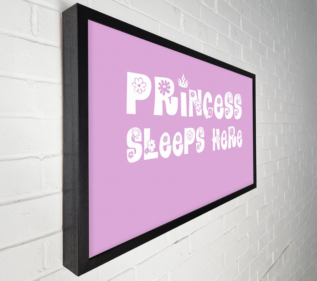  A Canvas Print of Princesss Sleeps Here Pink Canvas Wall Art