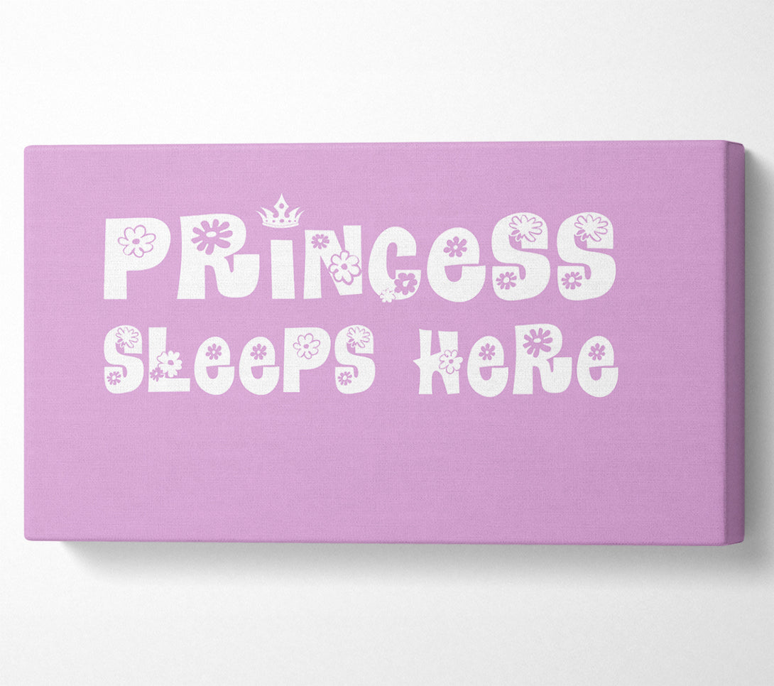  A Canvas Print of Princesss Sleeps Here Pink Canvas Wall Art