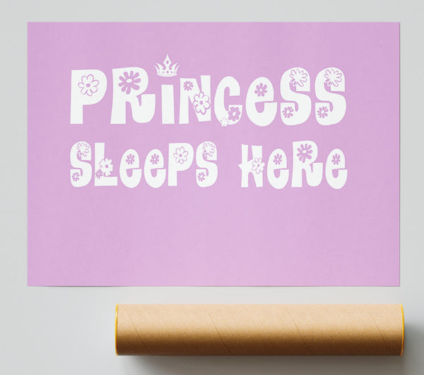 Princesss Sleeps Here Pink Print
