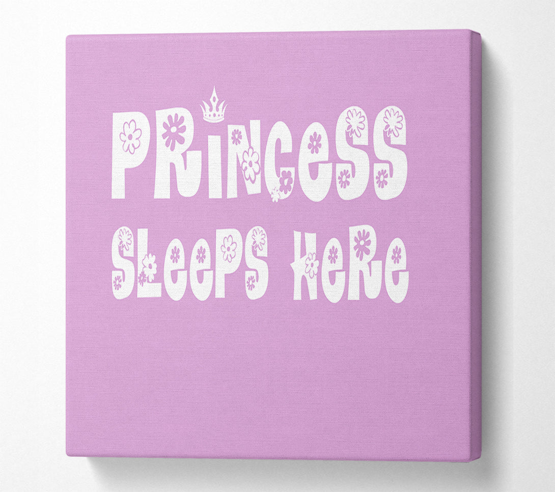  A Canvas Print of Princesss Sleeps Here Pink Canvas Wall Art