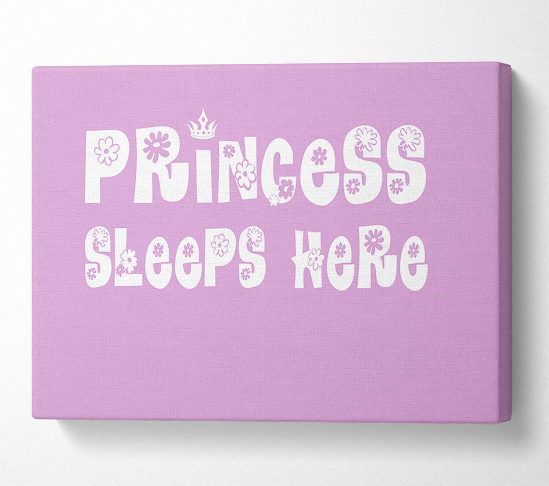 A Canvas Print of Princesss Sleeps Here Pink Canvas Wall Art