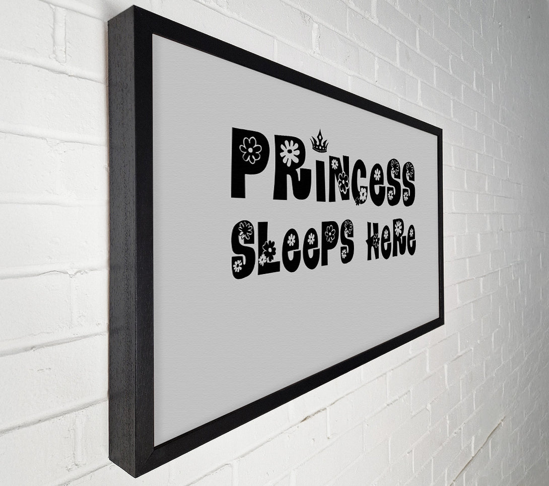  A Canvas Print of Princesss Sleeps Here Grey Canvas Print