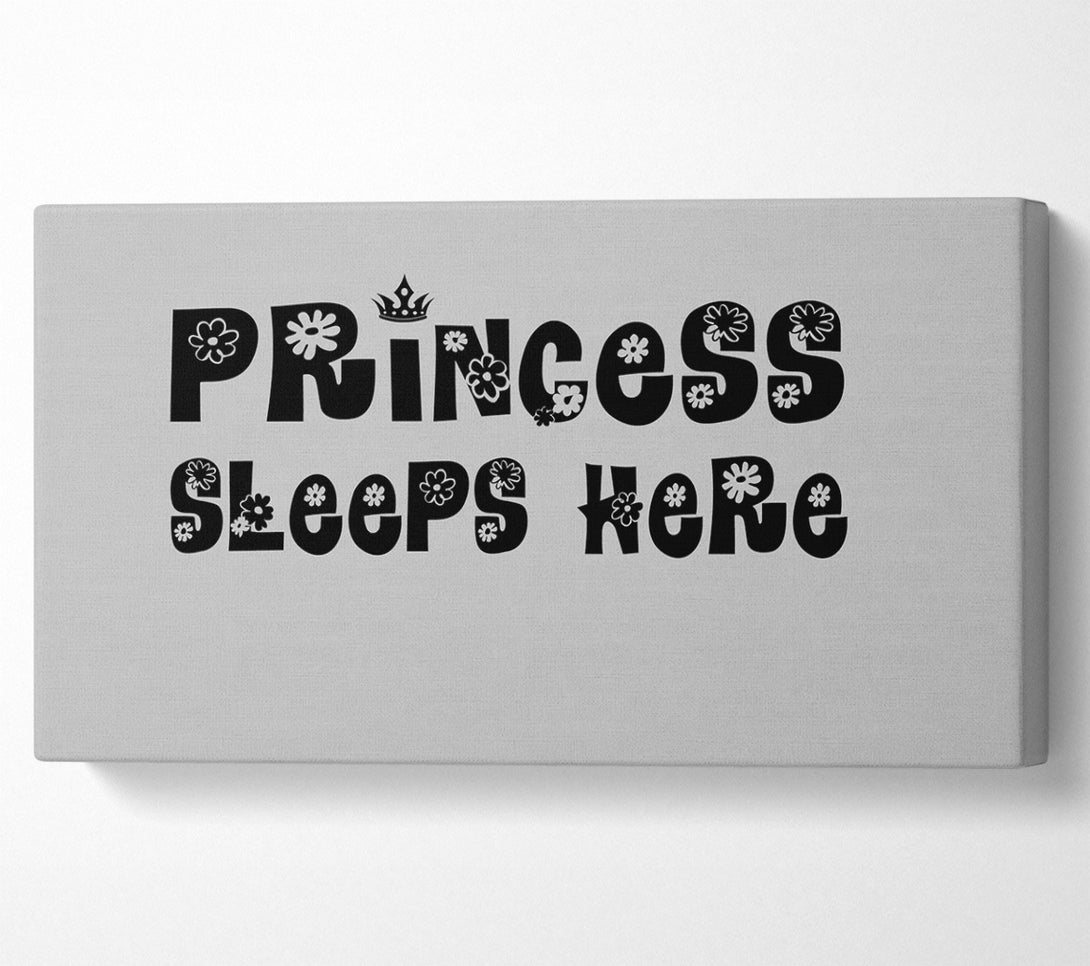  A Canvas Print of Princesss Sleeps Here Grey Canvas Print