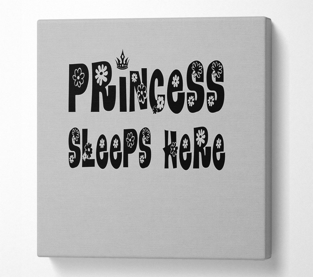  A Canvas Print of Princesss Sleeps Here Grey Canvas Print