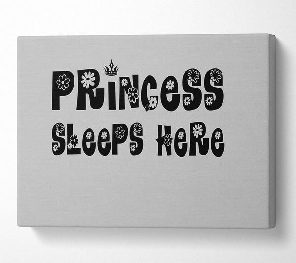  A Canvas Print of Princesss Sleeps Here Grey Canvas Print