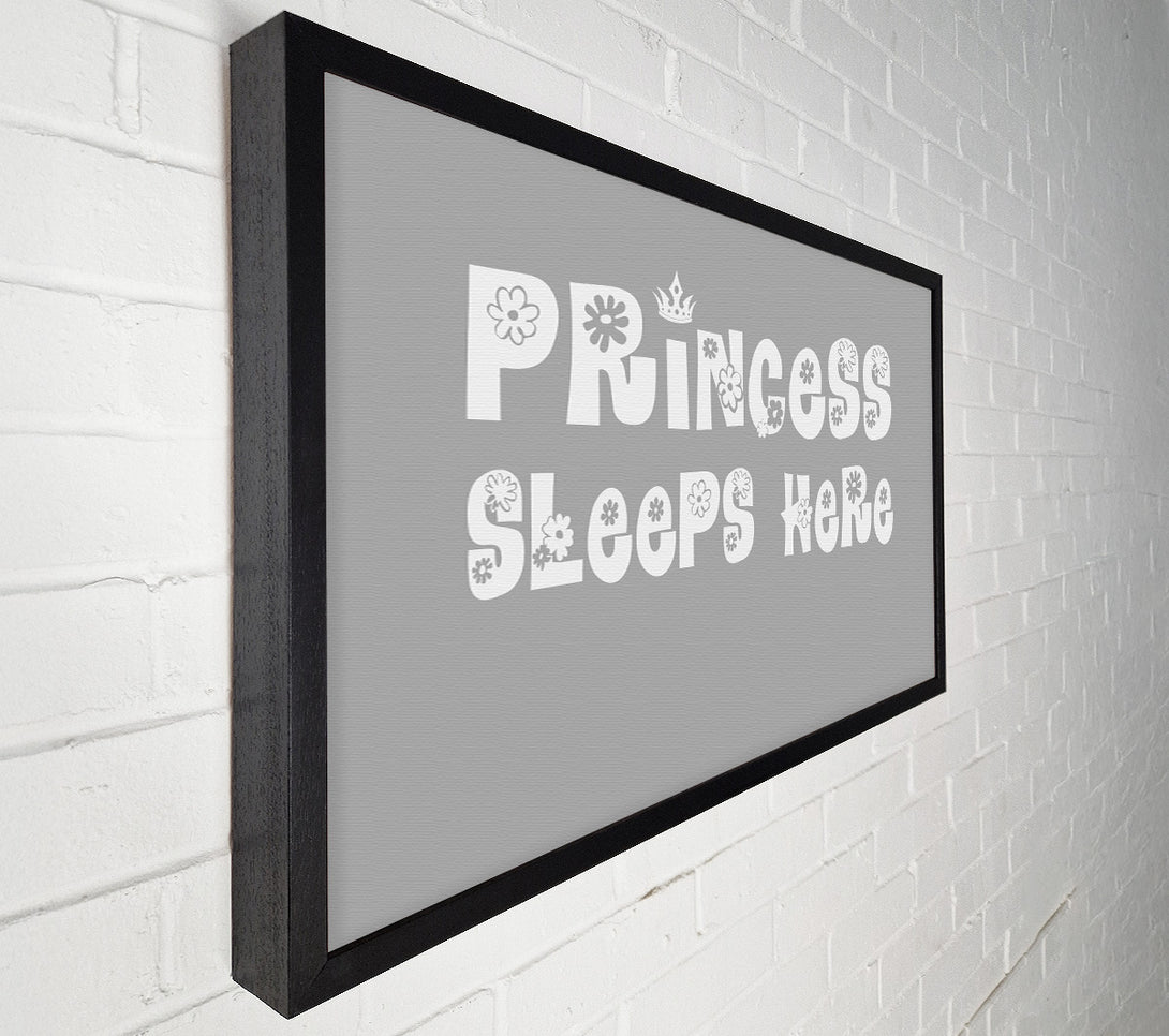 A Canvas Print of Princesss Sleeps Here Grey White Canvas Art