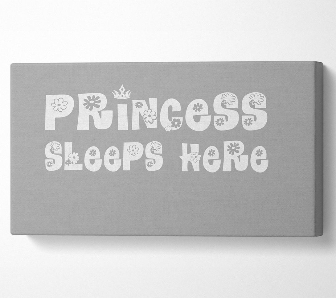  A Canvas Print of Princesss Sleeps Here Grey White Canvas Art
