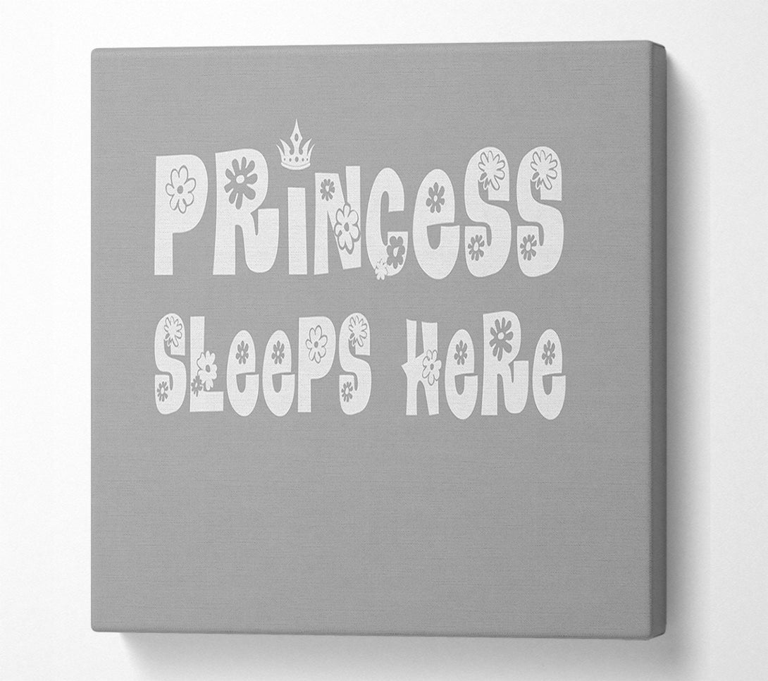  A Canvas Print of Princesss Sleeps Here Grey White Canvas Art