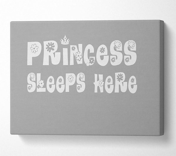  A Canvas Print of Princesss Sleeps Here Grey White Canvas Art