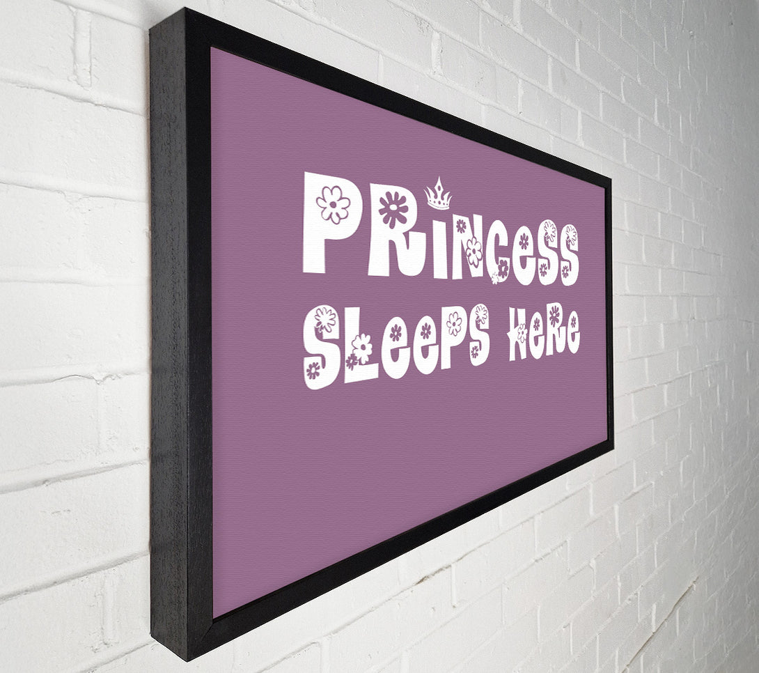  A Canvas Print of Girls Room Quote Princesss Sleeps Here Dusty Pink Canvas Wall Art