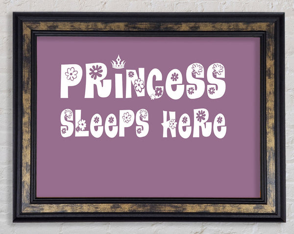 Girls Room Quote Princesss Sleeps Here Dusty Pink Framed Print