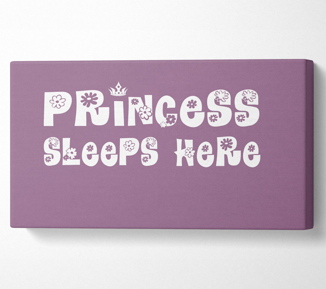  A Canvas Print of Girls Room Quote Princesss Sleeps Here Dusty Pink Canvas Wall Art