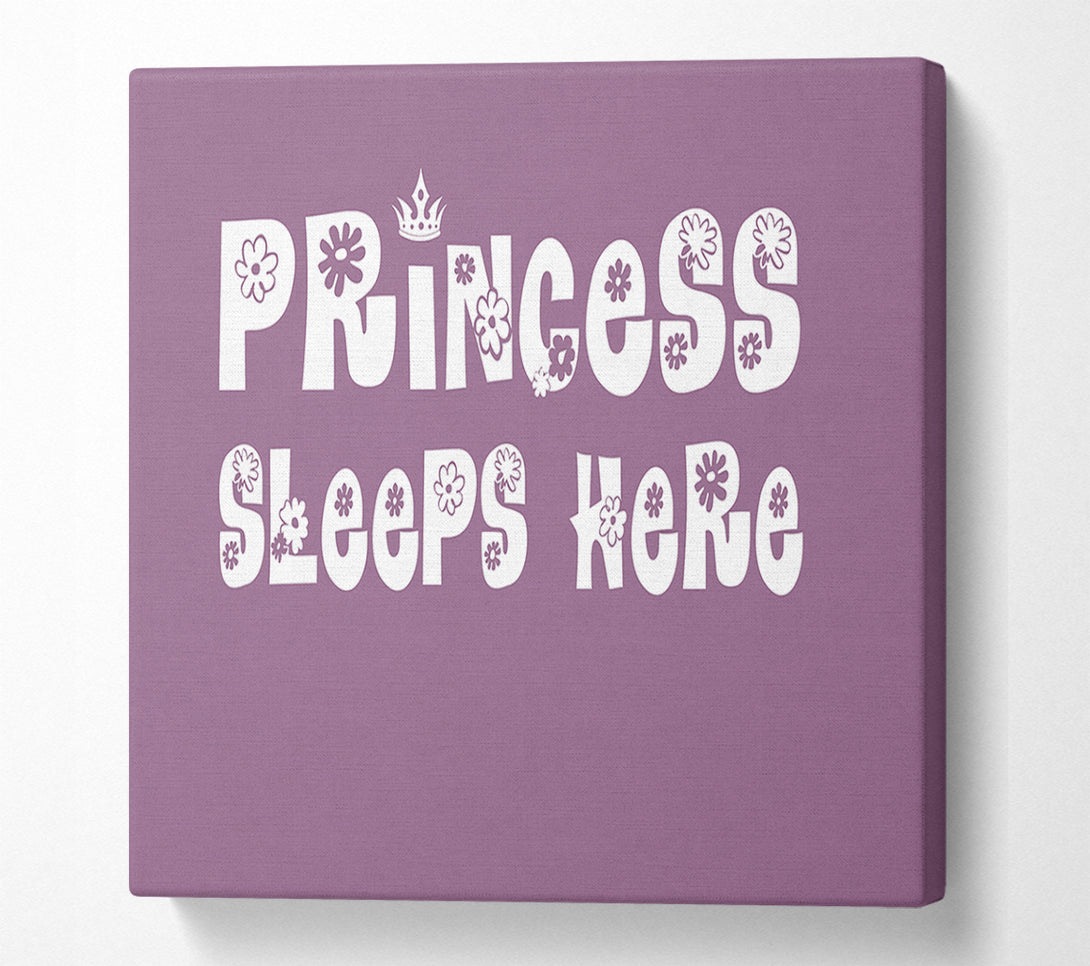  A Canvas Print of Girls Room Quote Princesss Sleeps Here Dusty Pink Canvas Wall Art