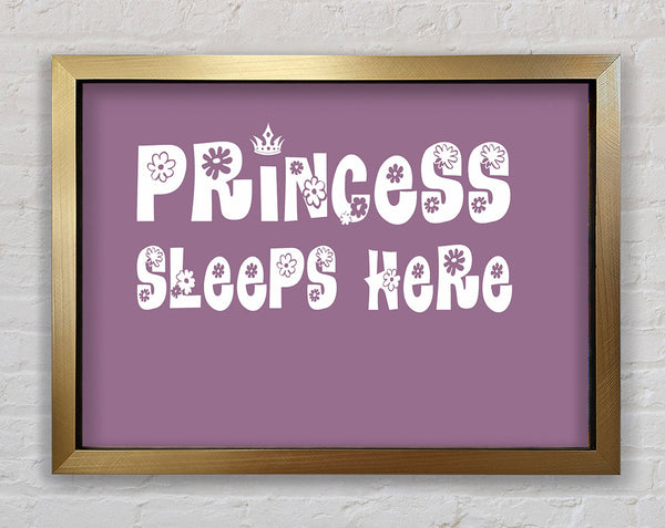 Girls Room Quote Princesss Sleeps Here Dusty Pink Framed Print