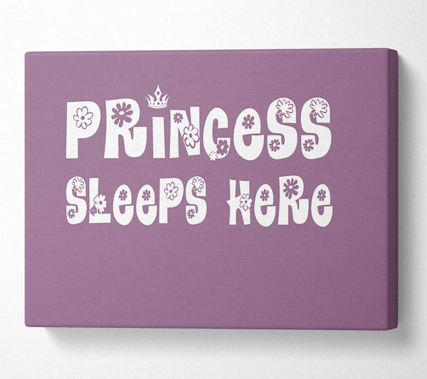  A Canvas Print of Girls Room Quote Princesss Sleeps Here Dusty Pink Canvas Wall Art