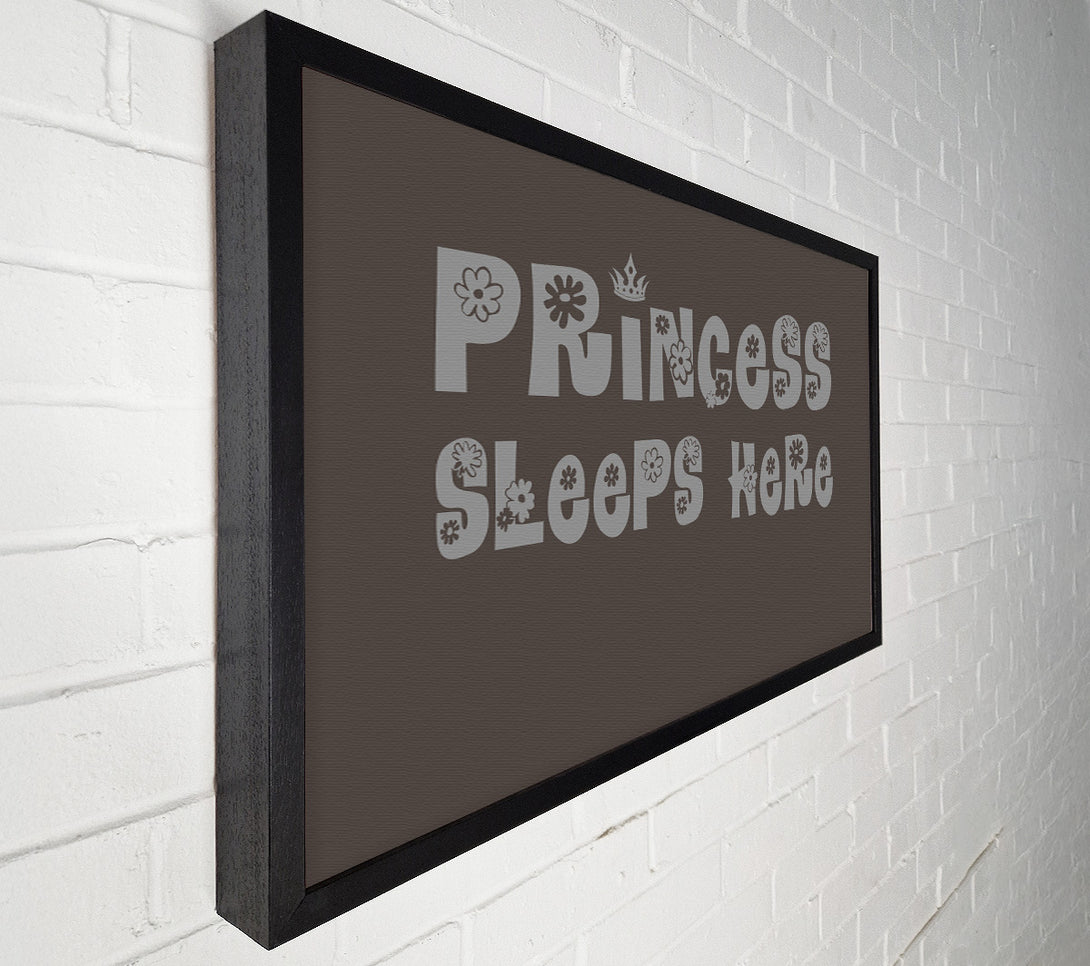  A Canvas Print of Princesss Sleeps Here Chocolate Canvas Wall Art