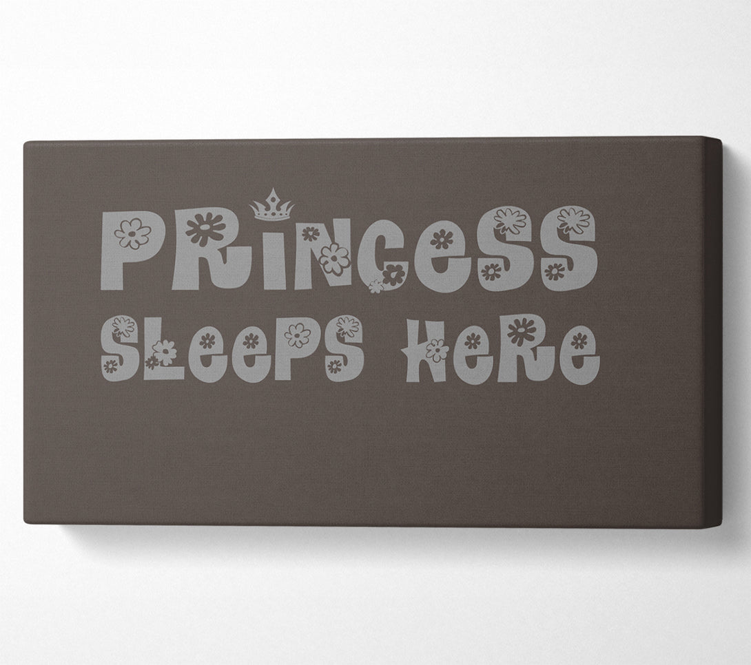  A Canvas Print of Princesss Sleeps Here Chocolate Canvas Wall Art