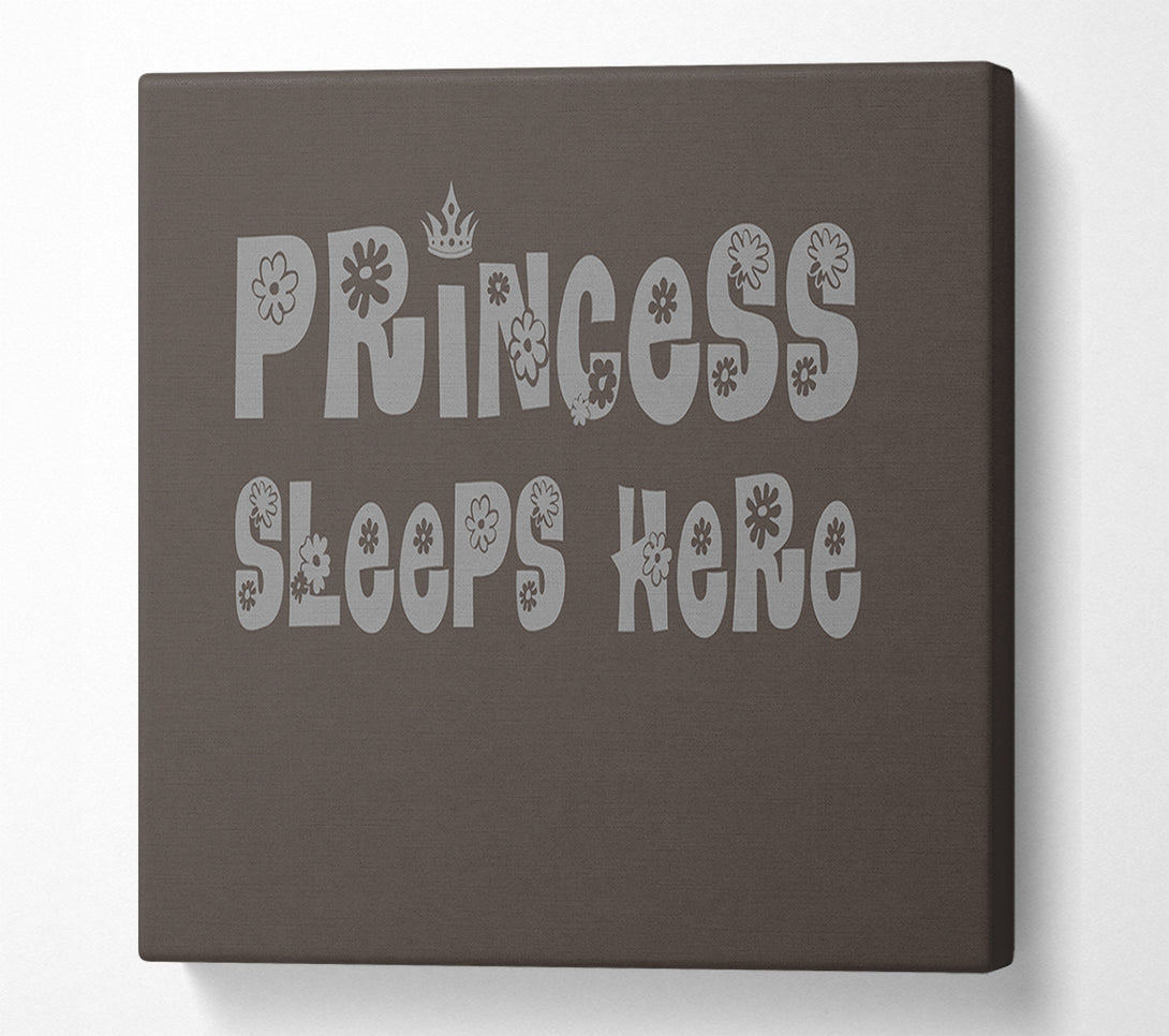  A Canvas Print of Princesss Sleeps Here Chocolate Canvas Wall Art