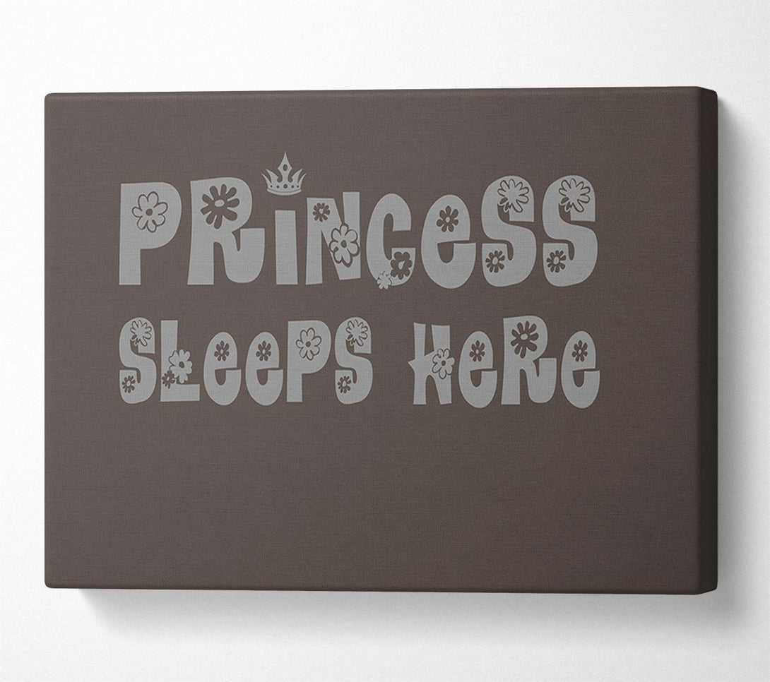  A Canvas Print of Princesss Sleeps Here Chocolate Canvas Wall Art