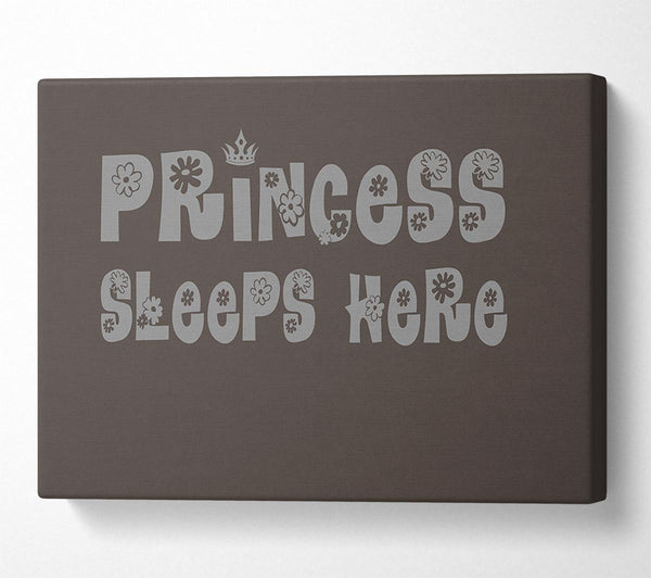  A Canvas Print of Princesss Sleeps Here Chocolate Canvas Wall Art
