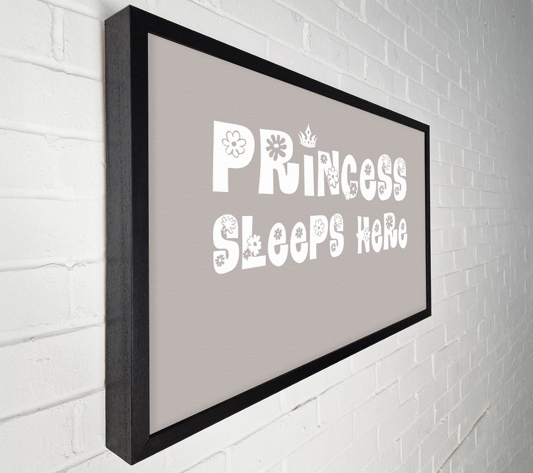  A Canvas Print of Princesss Sleeps Here Beige Canvas Art